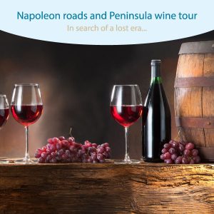 Napoleon roads and Pelješac wine tour